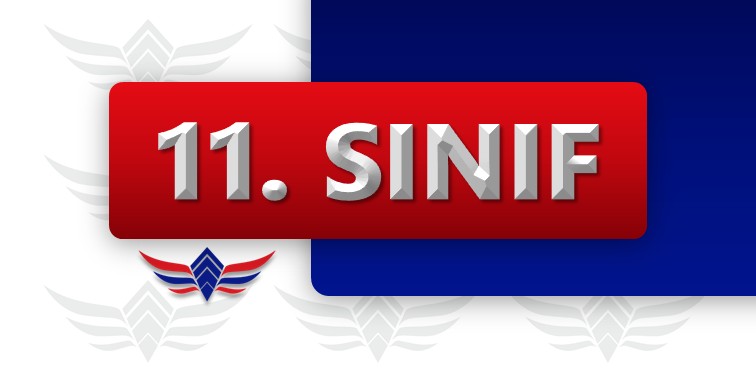 11. Sınıf