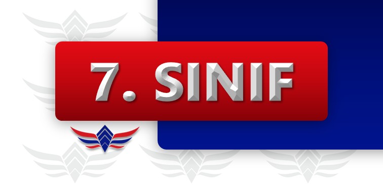 7. Sınıf